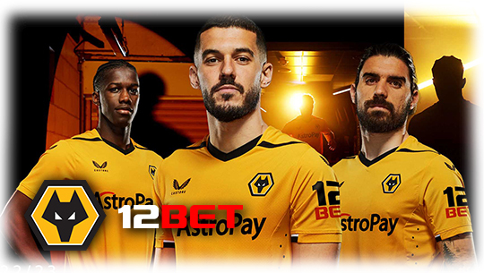 Hoạt động tài trợ